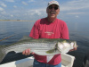 Bob Crosbie's striped bass 6-26-13